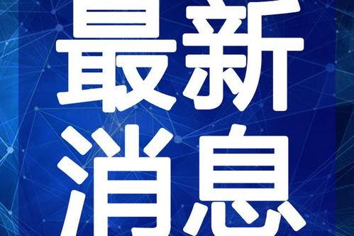 东坑新闻爆料事件视频最新,最新事件视频曝光，详情揭秘
